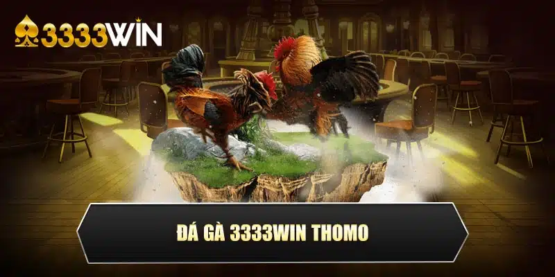 Đá gà 3333Win thomo